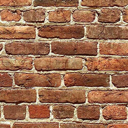 Growing Walls