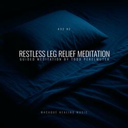Restless Leg Relief Meditation (432 Hz) (feat. Todd Perelmuter)