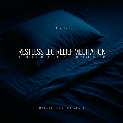 Restless Leg Relief Meditation (432 Hz) (feat. Todd Perelmuter)