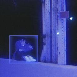 Put Me in a Box
