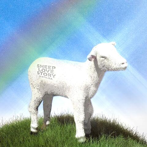 SHEEP LOVE STORY ^_^