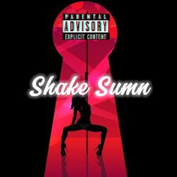 Shake Sumn (Twerk Bounce) (feat. Young Romeo & KSG Kaderek)