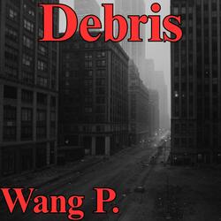 Debris
