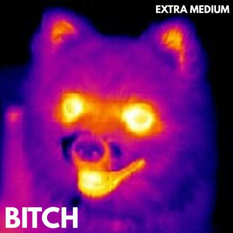 Bitch