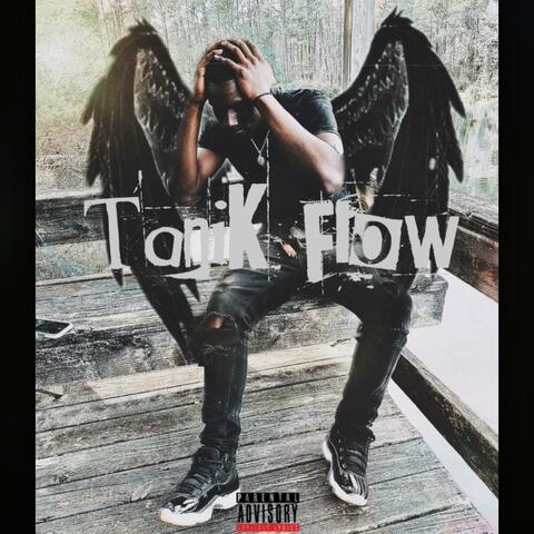 TaniK Flow