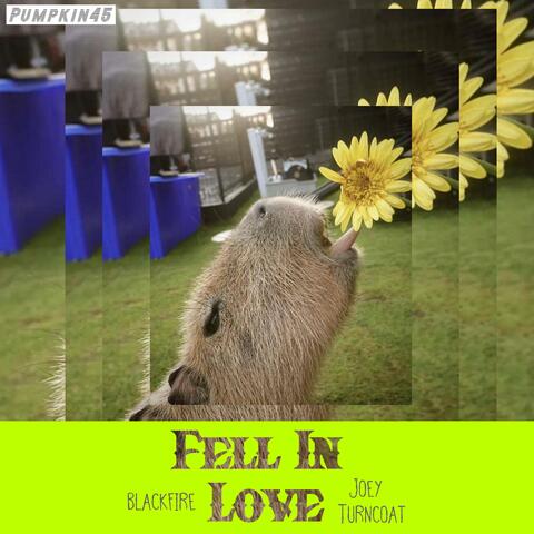Fell In love (feat. Joey Turncoat)