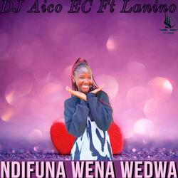 Ndifuna wen wedwa (feat. Lanino)