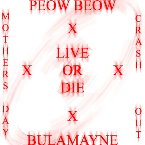 LIVE OR DIE (MDCO) (feat. PEOW BEOW) [Live]