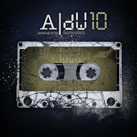 aNALOG iN a dIGITAL wORLD 10