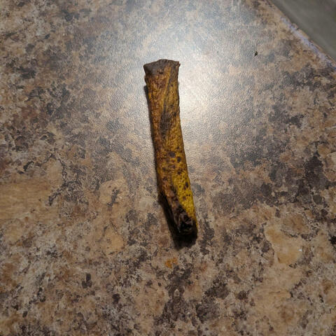 banana blunt (feat. FNRobert)