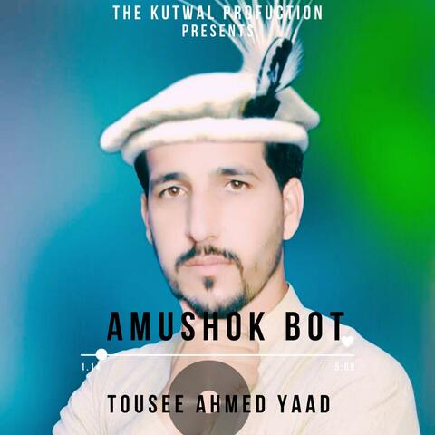 Amushok Bot (Shina Song) (feat. Touseef Ahmed Yaad & Khalid Wafa)