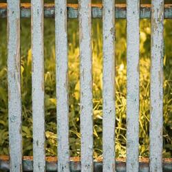 Deeze Blues (feat. Brett McElwaney) (Duet Version)