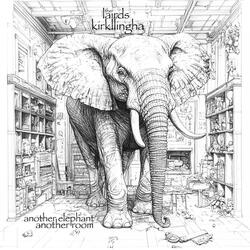 another elephant another room