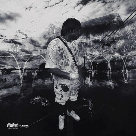 Baccseat music