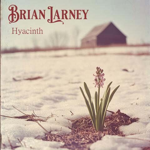 Hyacinth
