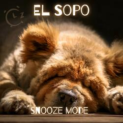 Snooze Mode