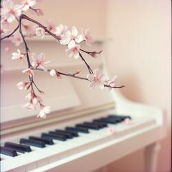 老樹的年輪​​