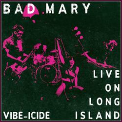 Vibe-icide (Live on Long Island)