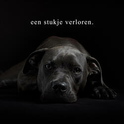 een stukje verloren