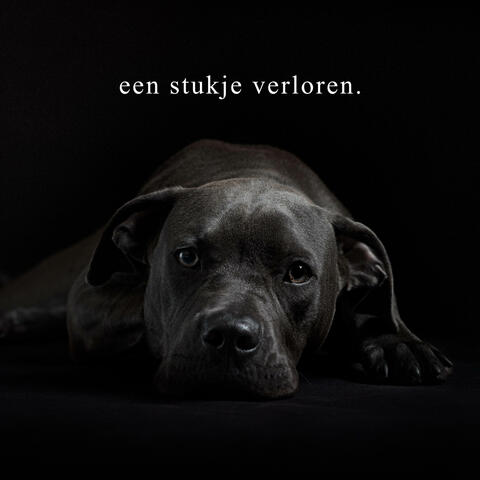 een stukje verloren