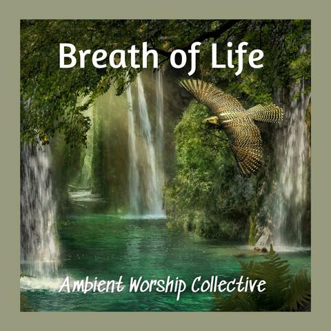 Breath of Life