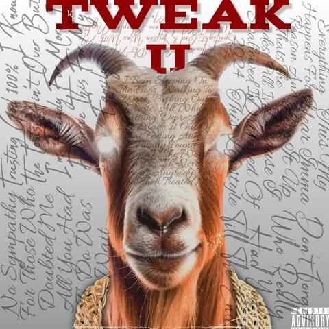 Tweak 2