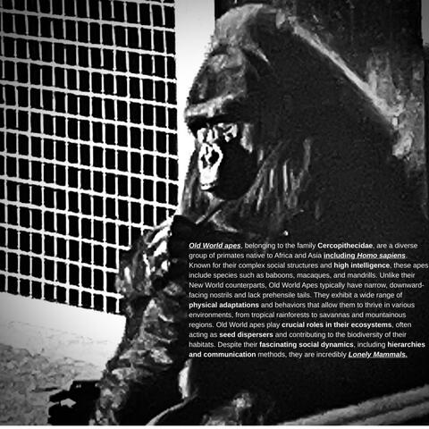 Old World Ape