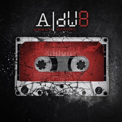 aNALOG iN a dIGITAL wORLD 8