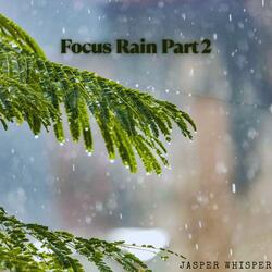 Focus Rain, Pt. 2 (feat. Ayoub Houmanna, Alma Lin, Nina Nalo, Sensory Meditation & Flame Timo)