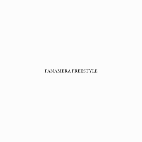 PANAMERA FREESTYLE