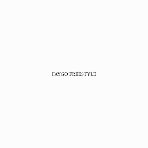 FAYGO FREESTYLE