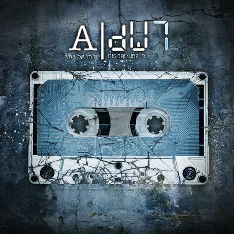 aNALOG iN a dIGITAL wORLD 7