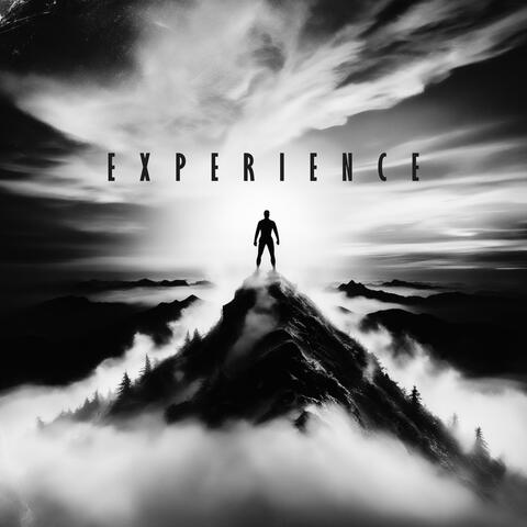 Experience