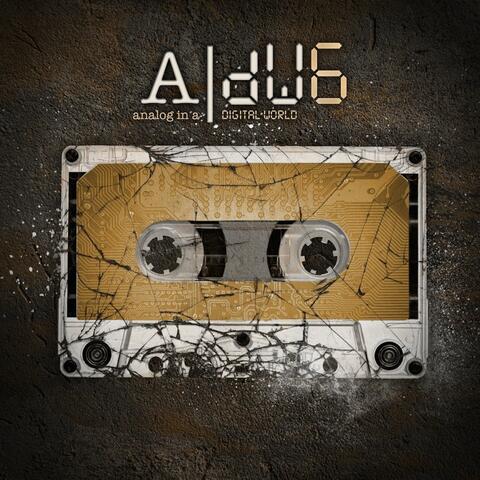 aNALOG iN a dIGITAL wORLD 6
