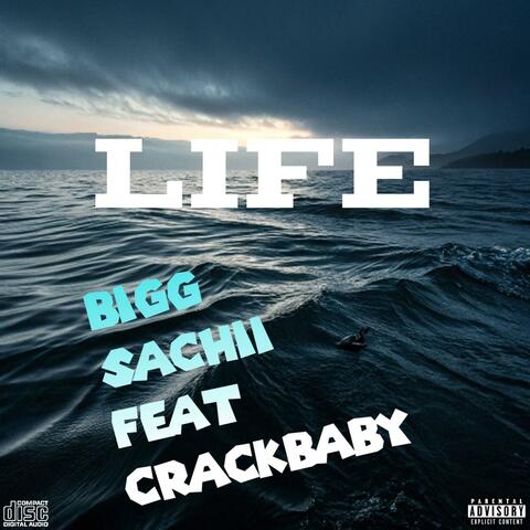 LIFE (Radio Edit)