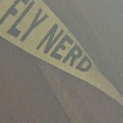 Disgusting (April 2025 Demo)