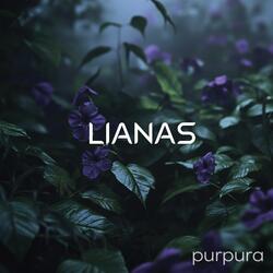 Purpura (Meditation)