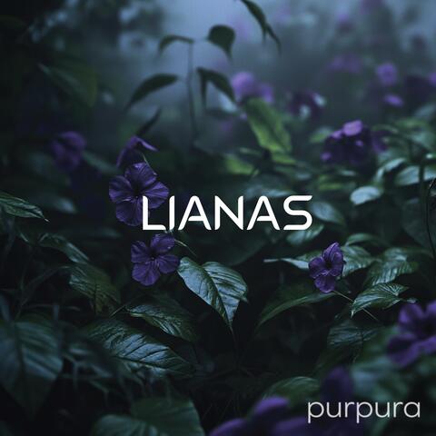 Purpura