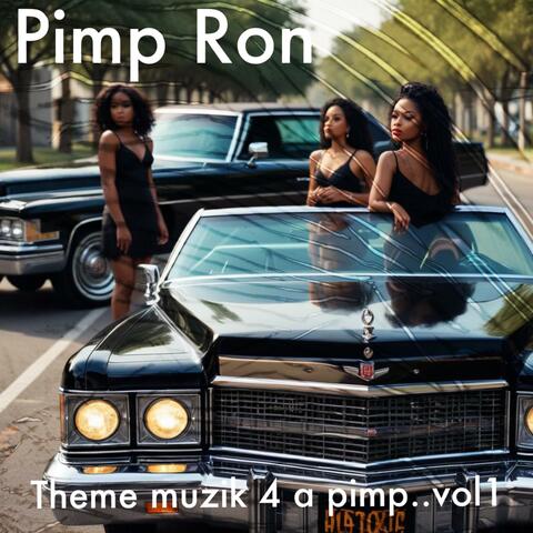 Theme muzik 4 A Pimp vol 1