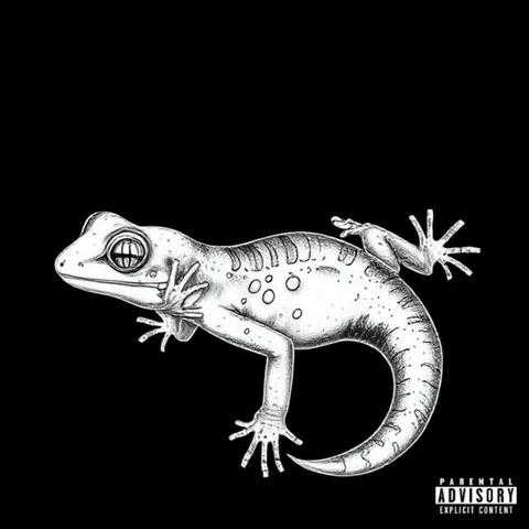 Gecko