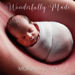 Wonderfully Made