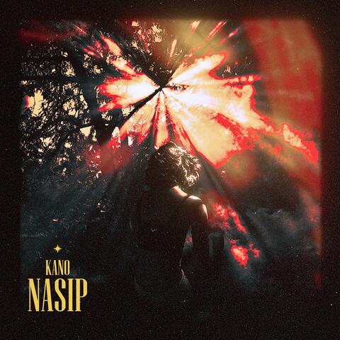 Nasip
