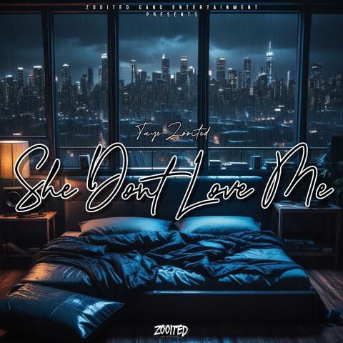 She Dont Love Me (Radio Edit)