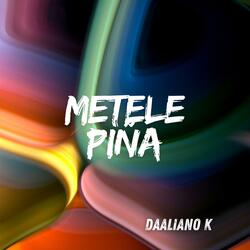 Metele Piña