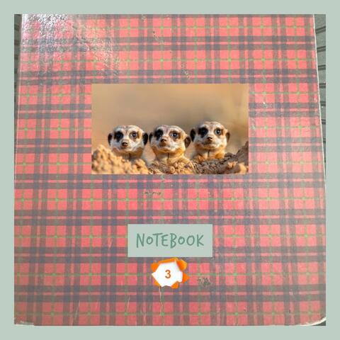 Notebook 3