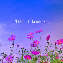 100 Flowers