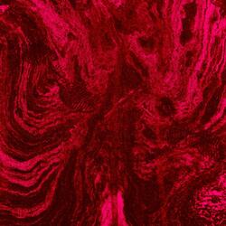 Berserk (feat. ZayRunit)