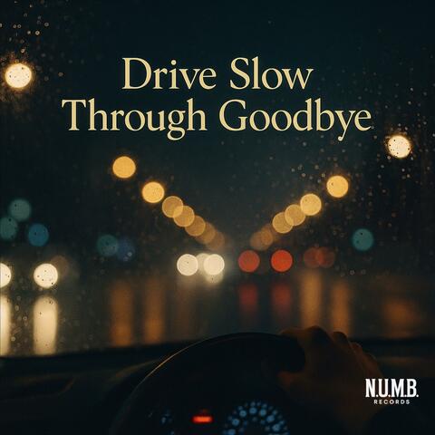Drive Slow Through Goodbye