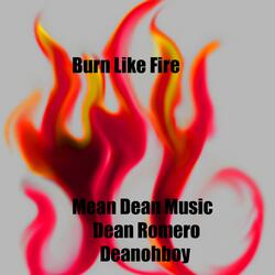 Burn Like Fire