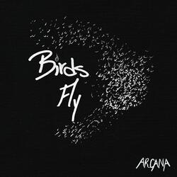 Birds Fly